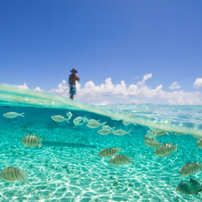 Tikehau lagoon