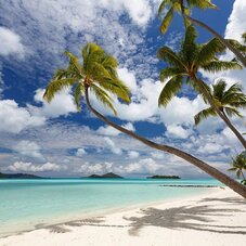 White sand beach of Le Bora Bora