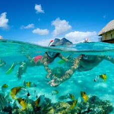 BoraBora by Pearl