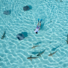 MOOREA