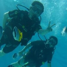 BORA BORA DSD1-T