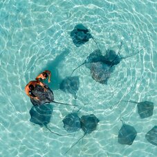 Moorea Ray Snorkeling