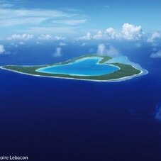 BORA BORA TUPAI2-T