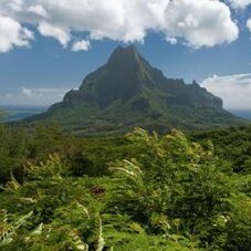 Moorea island tour2
