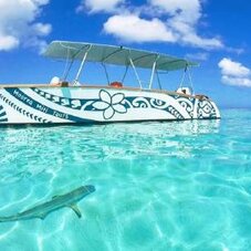 Moorea motu picnic2