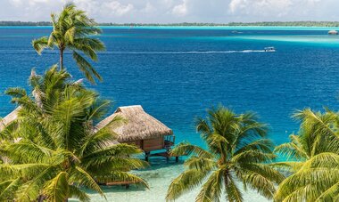 Maitai Bora Maitai Bora