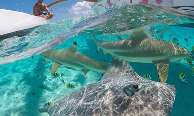 InterContinental Bora Bora Resort & Thalasso Spa Deluxe Bora Bora Exclusive Lagoon Tour with Motu BBQ Picnic