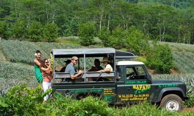 4WDMOOREA-T 4WD
