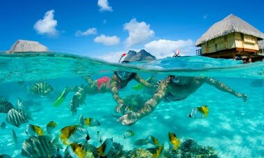 BoraBora by Pearl BoraBora by Pearl