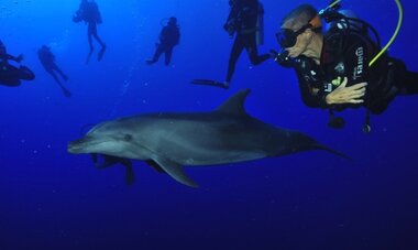 RGI DIVING-T RGI DIVING2