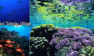 Pension Tokerau Village-T TV1