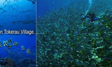 Pension Tokerau Village-T TV2