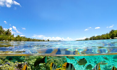 bora bora