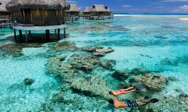 Tikehau Snorkelling