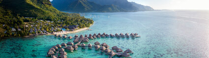 hilton moorea