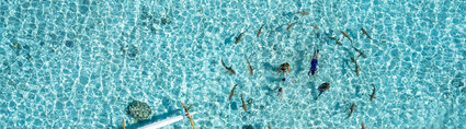 P2_BORA BORA_BORA BORA_SWIMMING WITH SHARKS IN BORA BORA_SMAILION_© Stéphane Mailion Photography P2_BORA BORA_BORA BORA_SWIMMING WITH SHARKS IN BORA BORA_SMAILION_© Stéphane Mailion Photography
