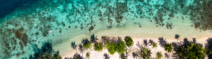 Vols Paris - Tahiti